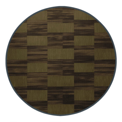 Machine Washable Checkered Brown Area Rug