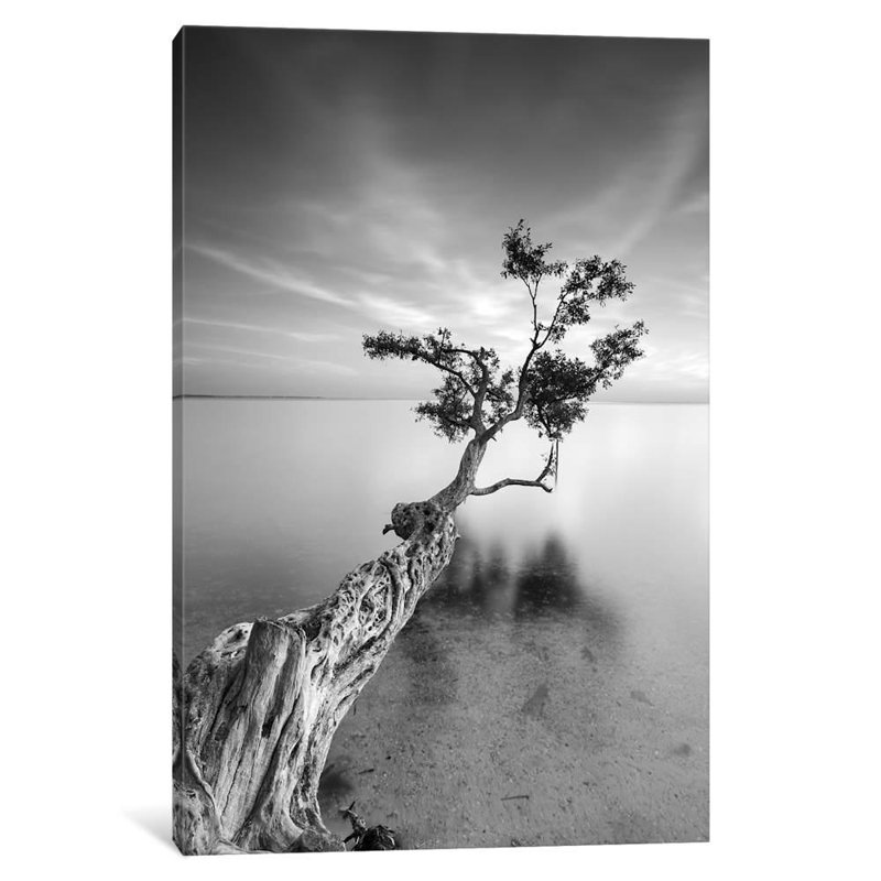 Water Tree V by Moises Levy - Wrapped Canvas Print, 66.04 cm H x 45.72 cm W x 1.91 cm D