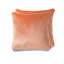 Grace Velvet Cushion-926352908-1017623122