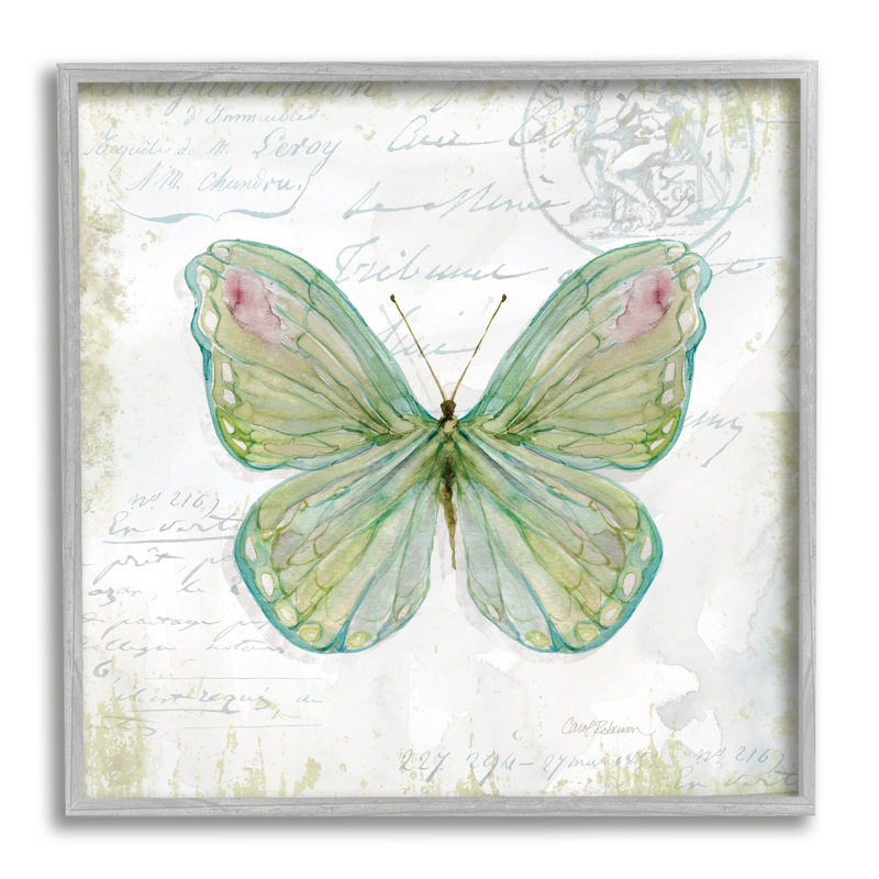 Papillon antique, insecte, charme rétro, écriture grise, ferme rustique, giclée, art texturé par Carol Robinson