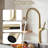 Brushed Gold Pull-down Single Handle Kitchen Faucet