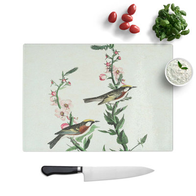Tempered Glass Chestnut-Sided Warbler Chopping Board