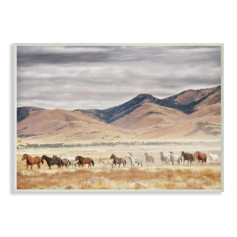Chevaux sauvages parcourant un paysage occidental, art mural surdimensionné par PH Burchett, H 19 po x l 13 po, Plaque murale