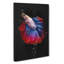 Siamese Fighting Fish - Wrapped Canvas-56644151