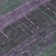 Machine Washable Indoor/Outdoor Claudian ACN1571 Purple Rug