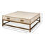 Shagreen Coffee Table-69056673