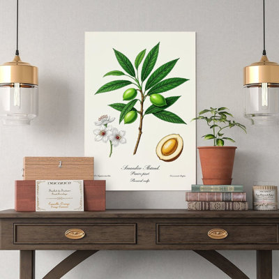 Canvas Wall Art Pistachio Almond Tree Vintage Botanical Canvas Print Vintage Poster Print Home Decor