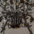 Contemporary Dark Bronze Leaf Chandelier Elegant Interior Lighting With Crystal Accents For Dining Room Living Room-837273635