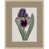 Floral Study In Plum 2 Painting
