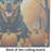 Rottweiler Fall Glass Cutting Board Large