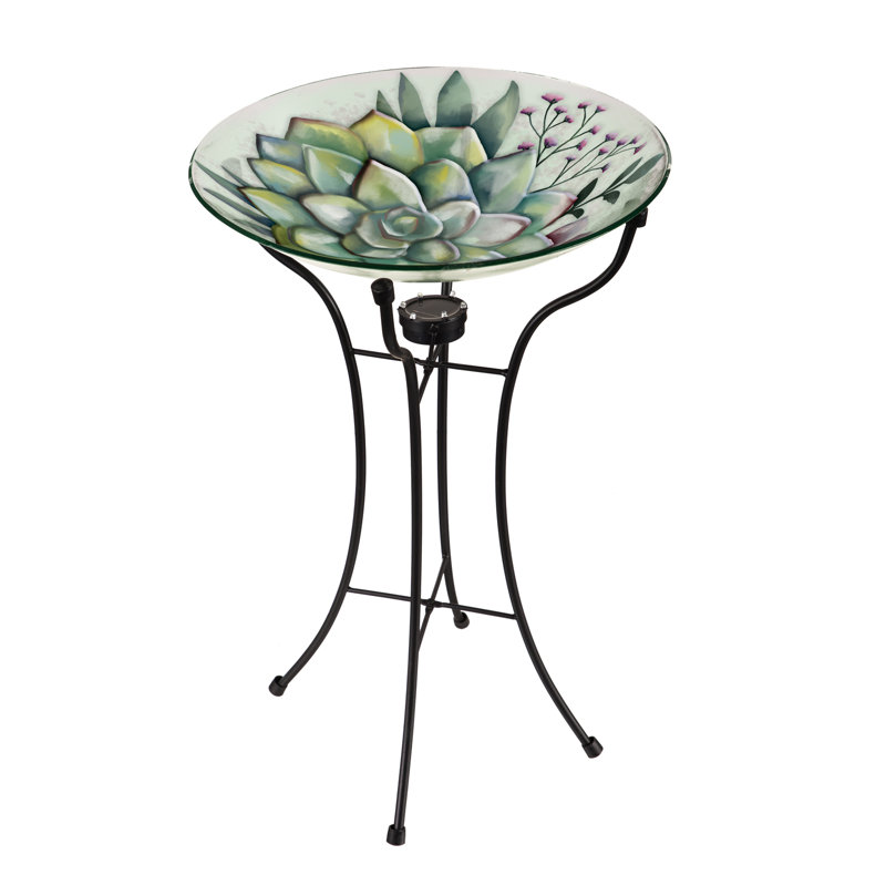 Glass Single Tier Birdbath