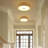 Allexia Acrylic Flush Mount