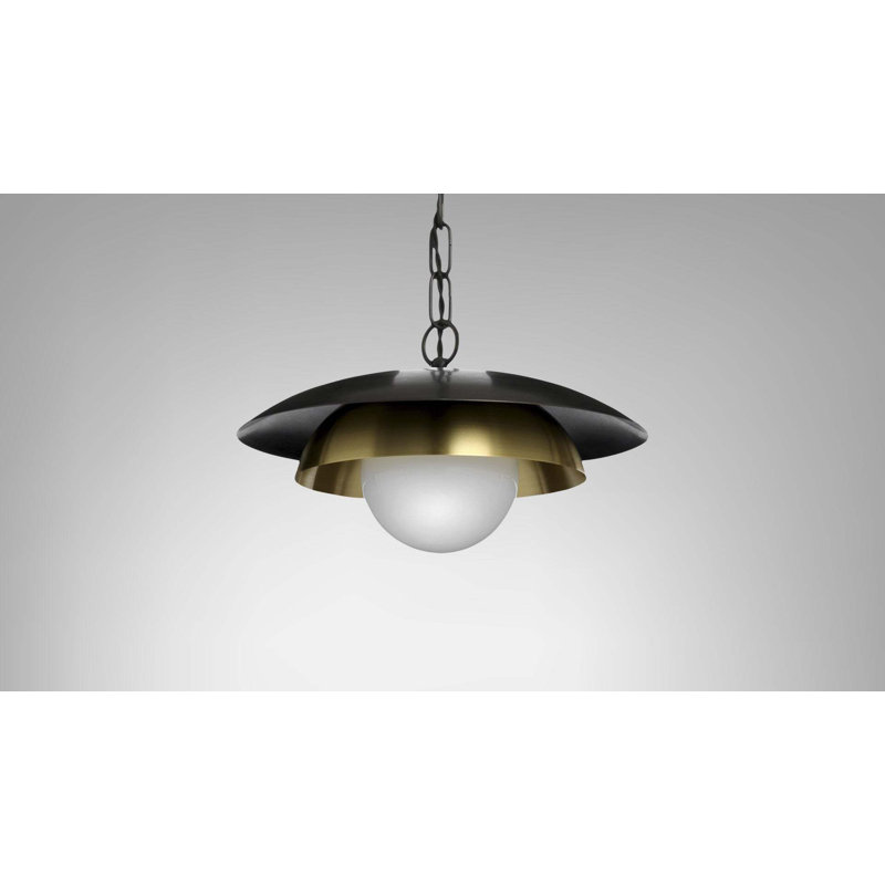 Carapace 1 - Light Pendant