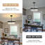 Unique/Statement Chandelier-980084357-1005896576