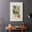 Motif floral rétro avec motif floral - Cavas-1931722565