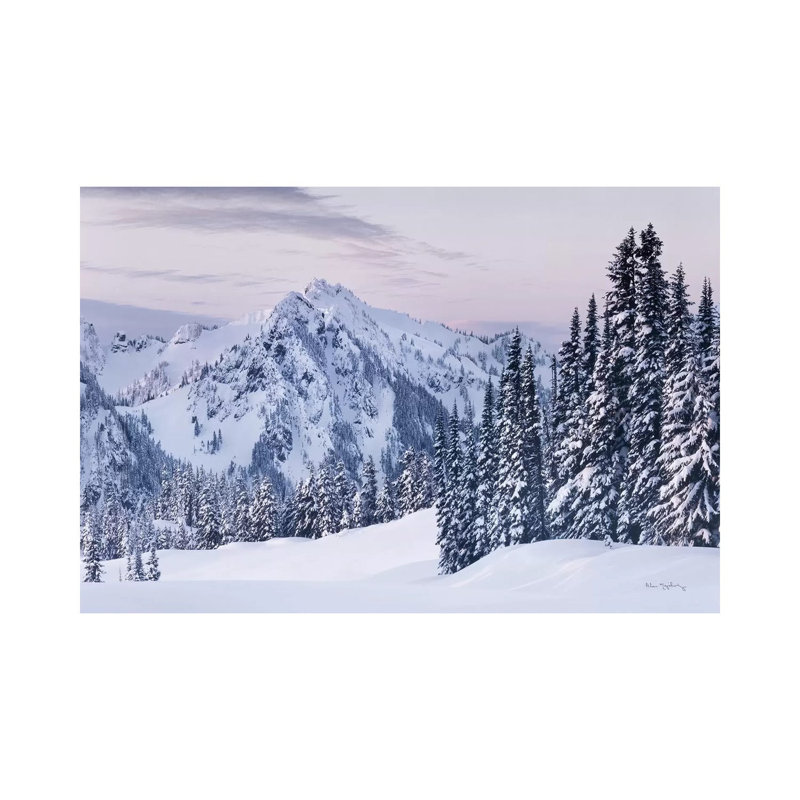 Tatoosh Range by Alan Majchrowicz - Wrapped Canvas Print, 20.32 cm H x 30.48 cm W