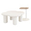 Ensemble de 2 tables basses Modernes de forme irrégulière