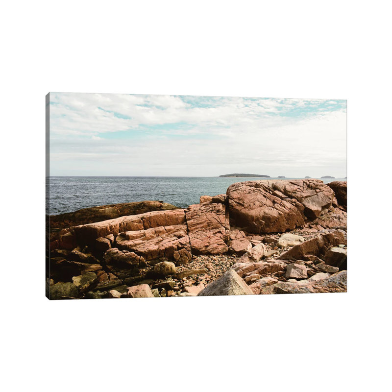 Coastal Life II by Olivia Joy StClaire - Wrapped Canvas Painting, 20.32 cm H x 30.48 cm W