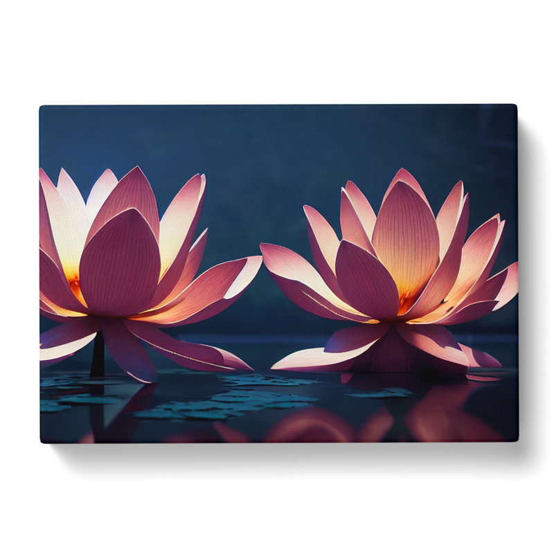 Luxurious Lotus Flowers - Wrapped Canvas, 35cm H x 50cm W x 3cm D