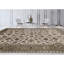Oriental Indoor Rug
