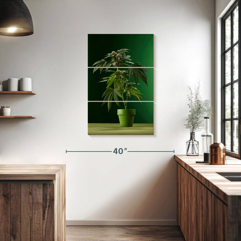 Plante de marihuana en pot Harnek, H 38 po x l 24 po