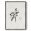 Impression florale vintage encadrée CL XXXV - bois massif-536662054