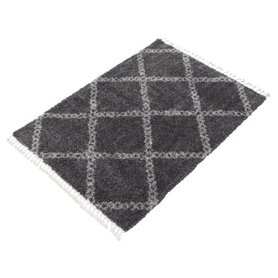 Reuter Moroccan Indoor Rug