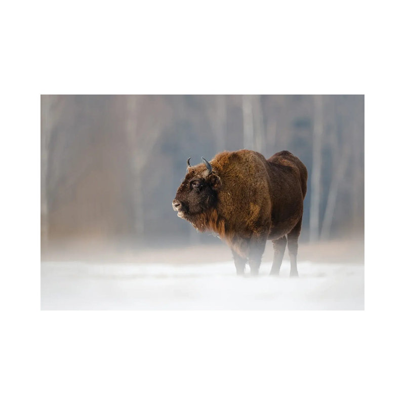 MTU123-Bison II, H 12 po x l 18 po x 1,5 po