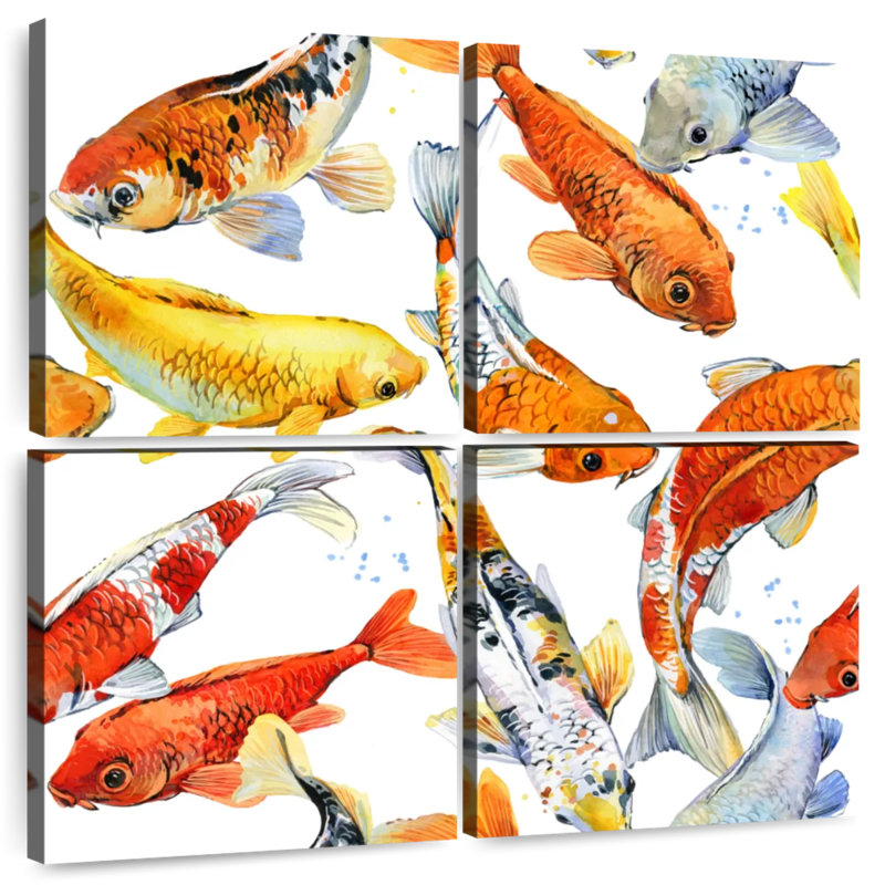 Brampt couleurs de koi