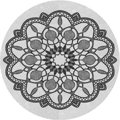 Oriental Indoor Rug