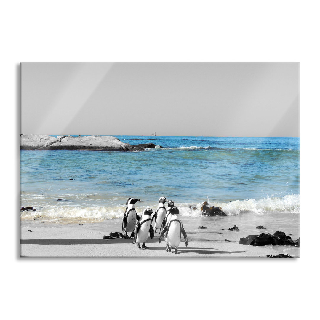 Glasbild Wandbild Auf Echtglas Lustige Pinguine Am Strand Inkl. Aufhängung Und Abstandshalter LF5074