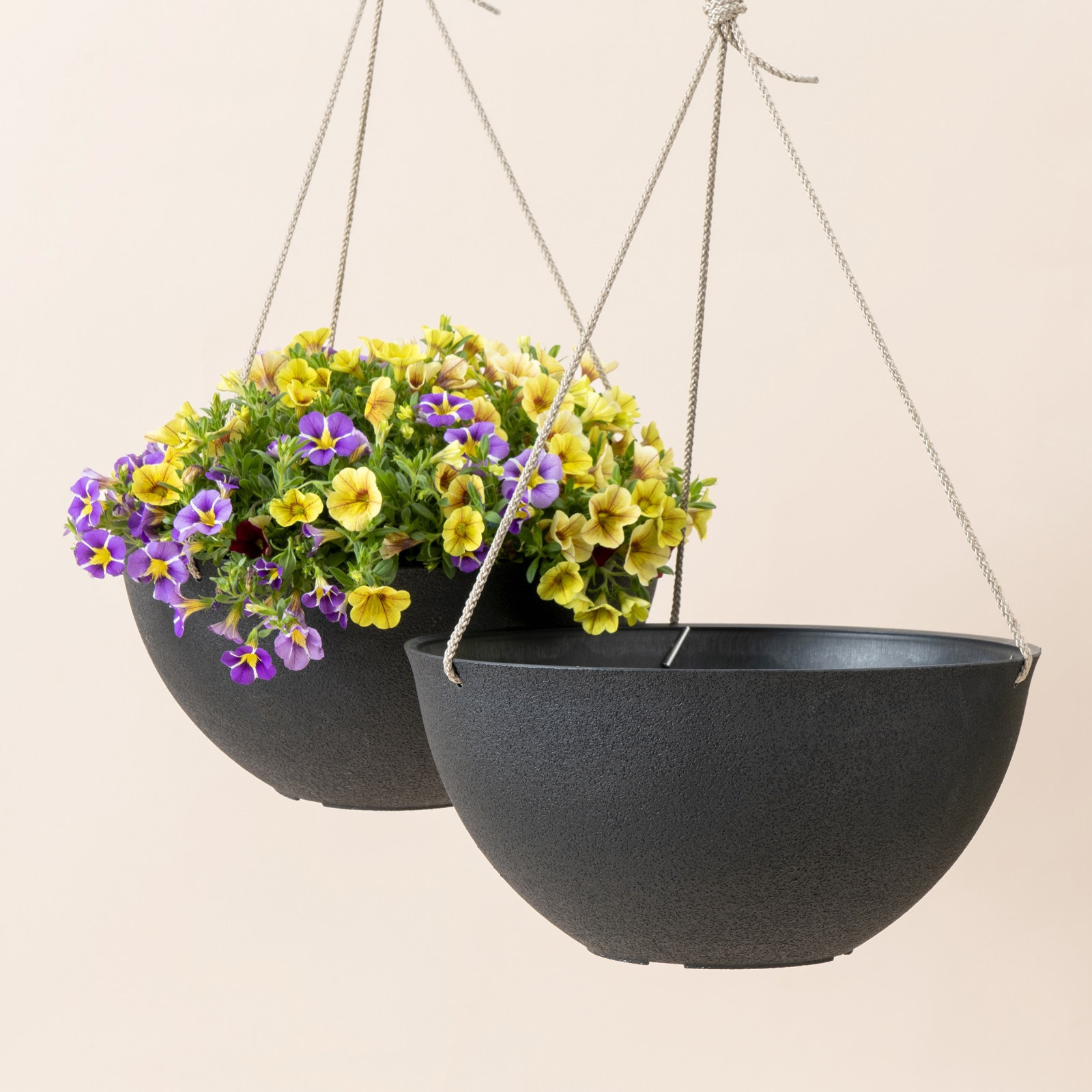 Boxdale 13" Hanging Planter, Black, 6.3" H x 13.2" W x 13.2" D