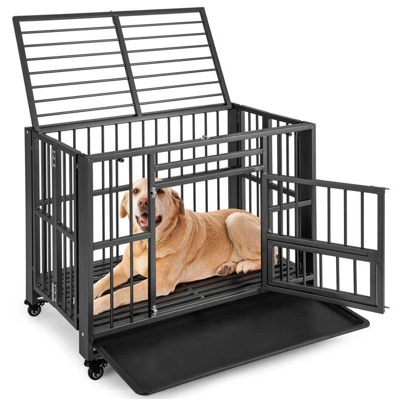 Adakras Pet Crate