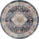 Oriental Indoor Rug