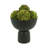Decorative Sedum Balls-1731351886