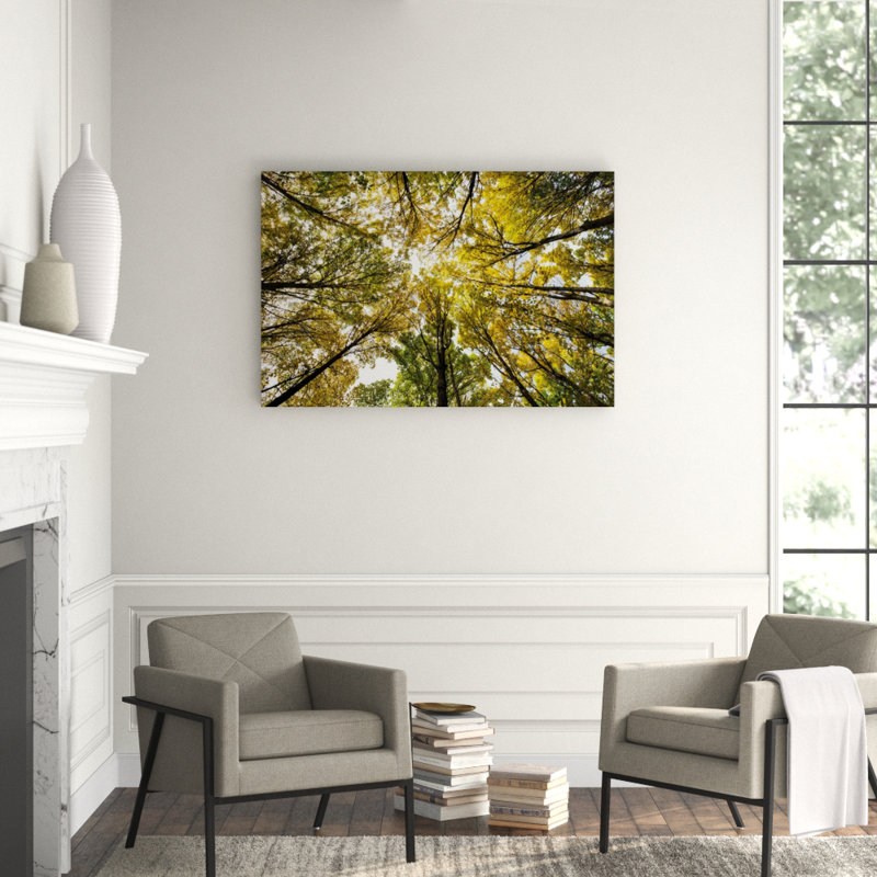 Autumn Wood Print by Nathan Secker, Outdoor, 40" H x 60" W