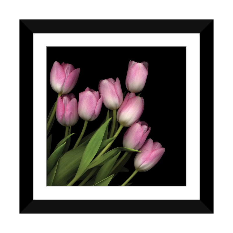" Soft Pastel Pink " by Magda Indigo, Black Framed Fine Art Paper, White, 16" H x 16" W x 1" D