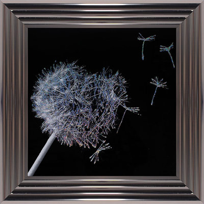 Single Picture Frame Print