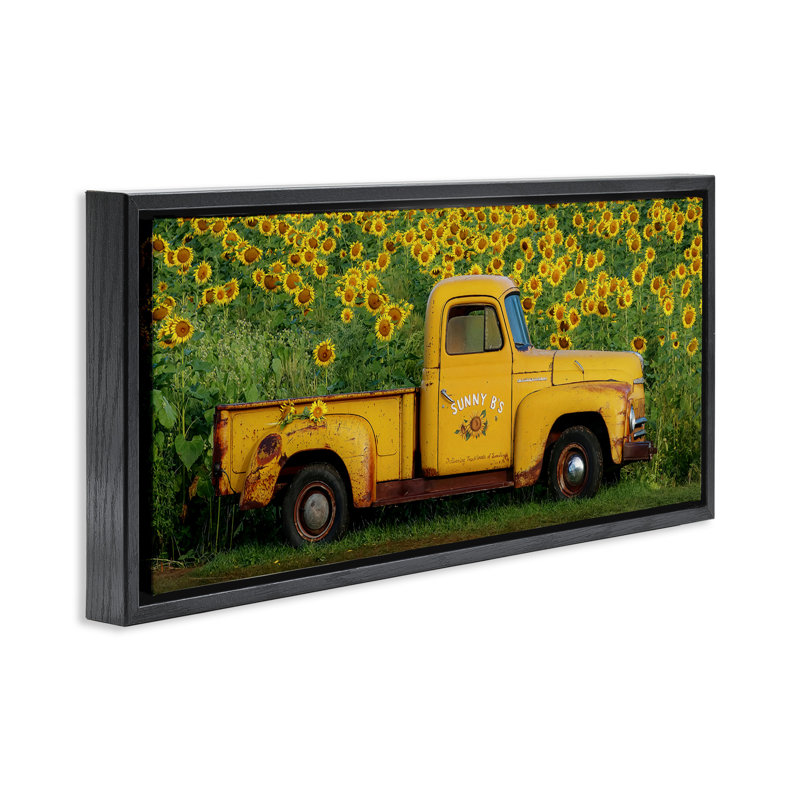 Ramassage jaune dans un champ de tournesols, Cadre flottant noir de jais, H 14 po x l 31 po