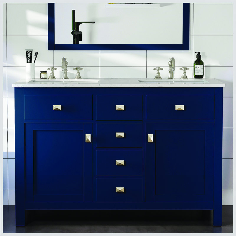 Odilion 48" Double Bathroom Vanity Set, Blue