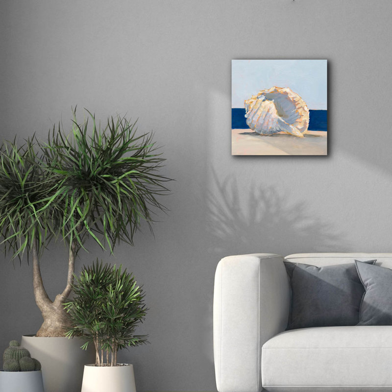 «Shell By The Shore 2» par Ethan Harper, art mural sur toile, H 18 po x l 18 po