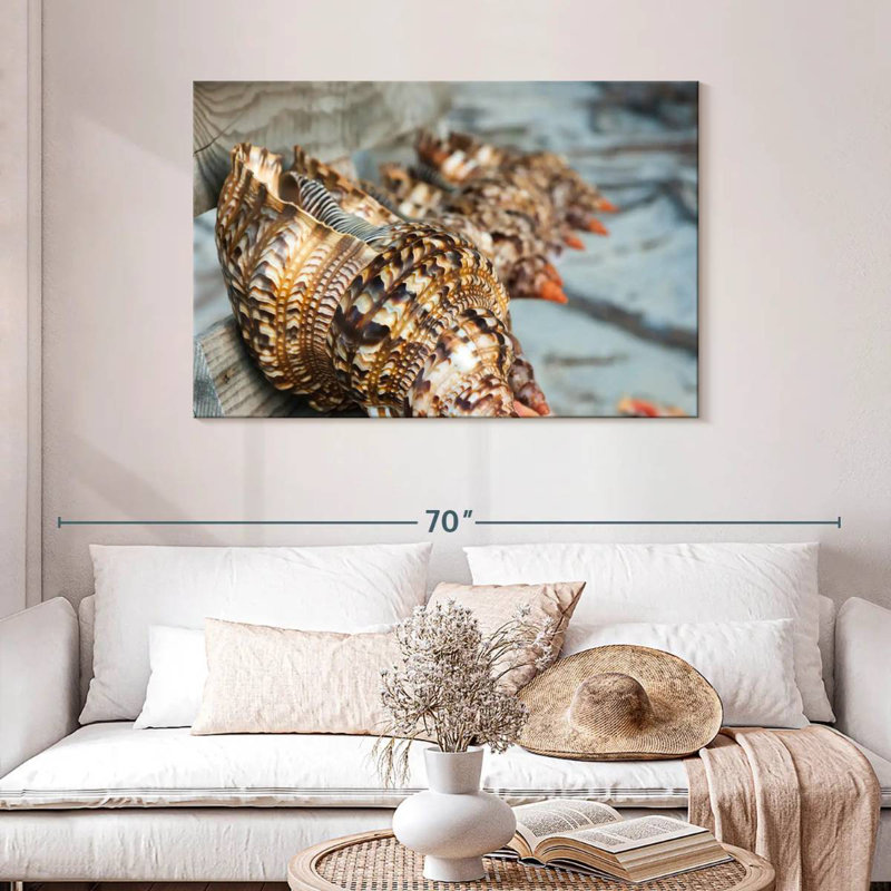 Aletra Ocean Shells, 30'' H x 45'' W
