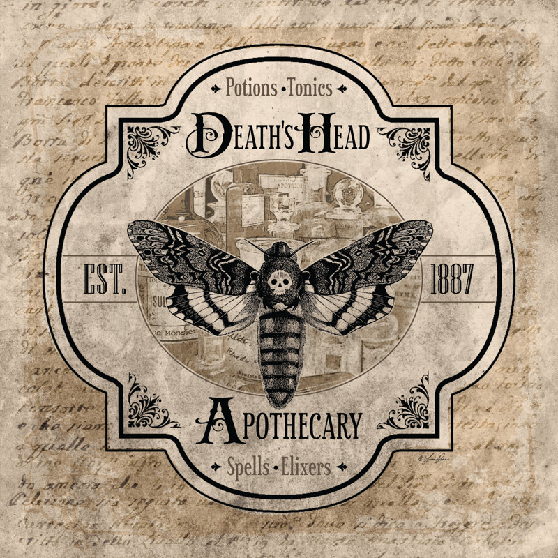 Death's Head Apothecary, 20" H x 20" W