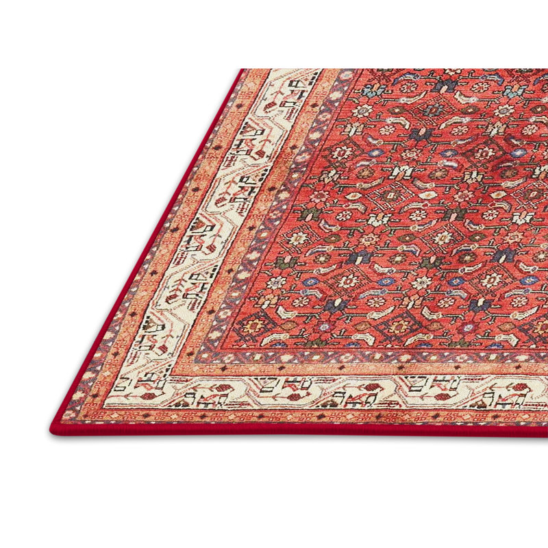Oriental Indoor Rug, Rectangle 7' x 10'