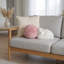 Coussin