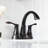 Centerset 2-Handle Bathroom Faucet with Drain Assembly-49918580