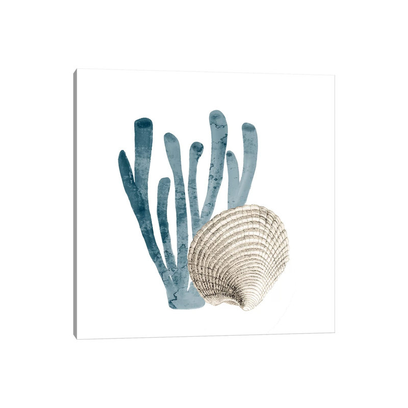 Coral Cove Blue IV by Kimberly Allen - Wrapped Canvas Print, 66.04 cm H x 66.04 cm W