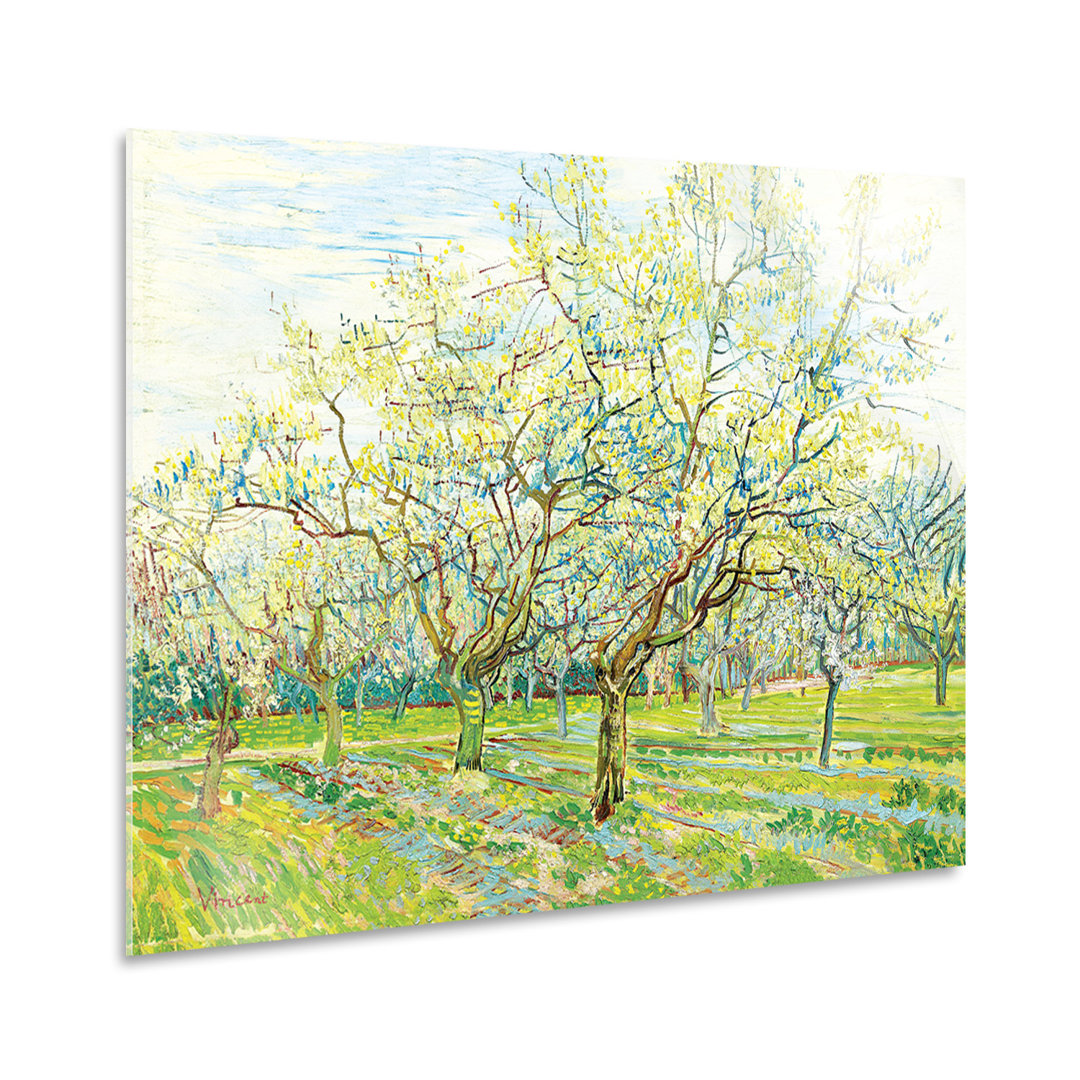 Glasbild Der weiße Obstgarten von Vincent Van Gogh