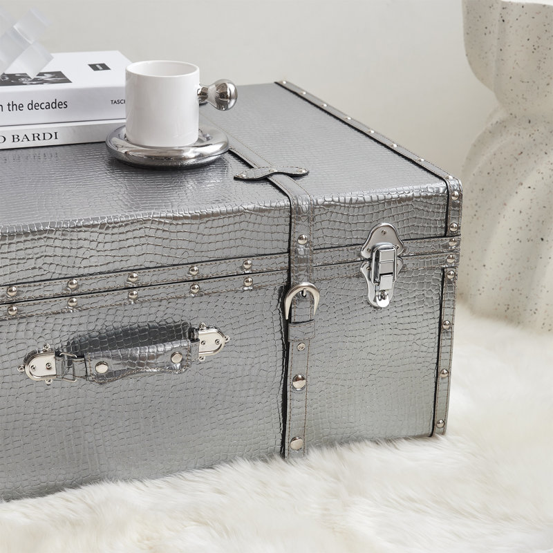 Texture Brand Trunk - Navy Raised, Silver