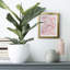 Rose Marble I - impression encadrée-118054519-118054518